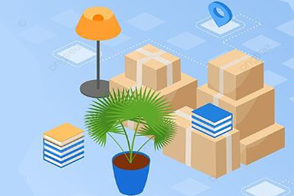 Avg Packers & Movers