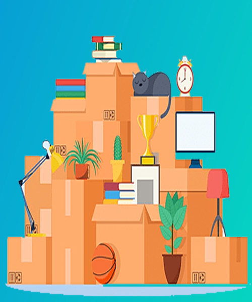 Avg Packers & Movers